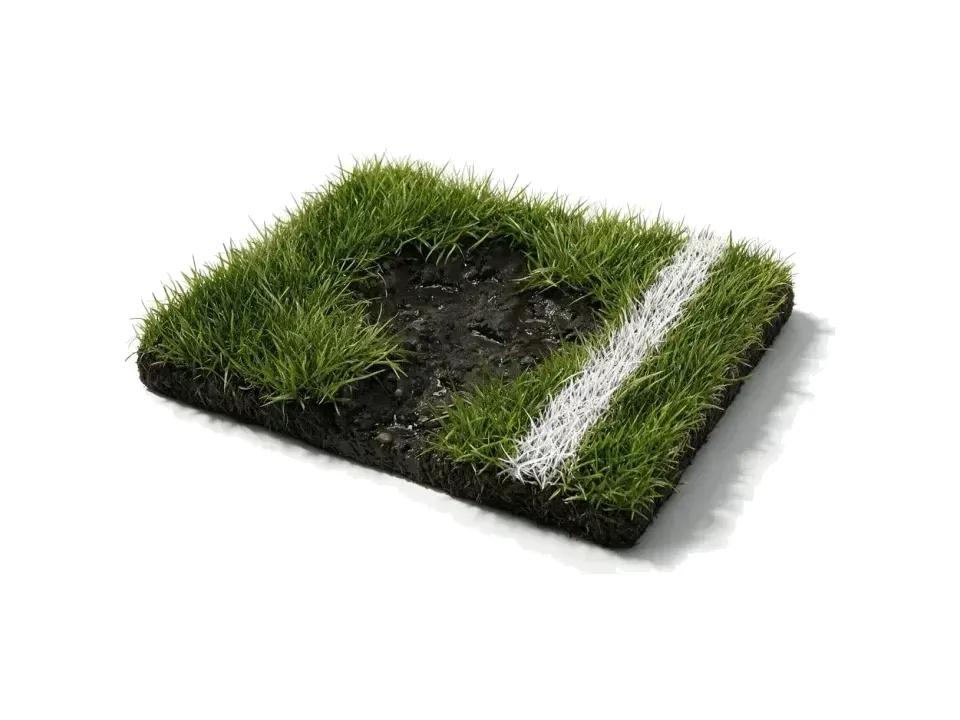 Superficie Pasto blando / Barro